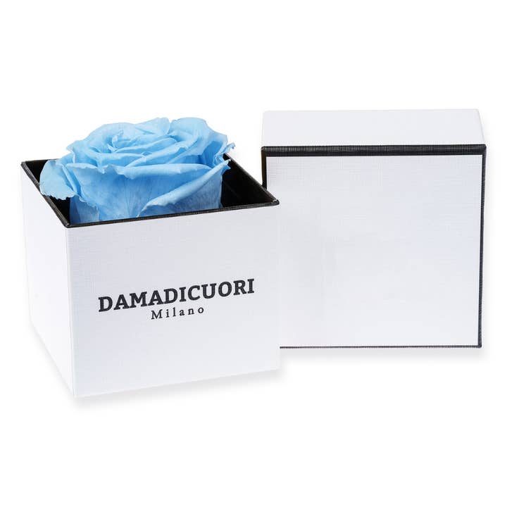 Echte einzigartige blaue konservierte Rose in luxuriöser weißer und schwarzer Schachtel für den Großhandel von DAMADICUORI Milano