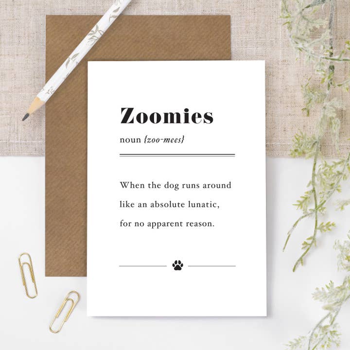 Coulson Macleod - Wholesale Everyday Greeting Card - Funny Dog Zoomies Definition Card For Dog Lovers