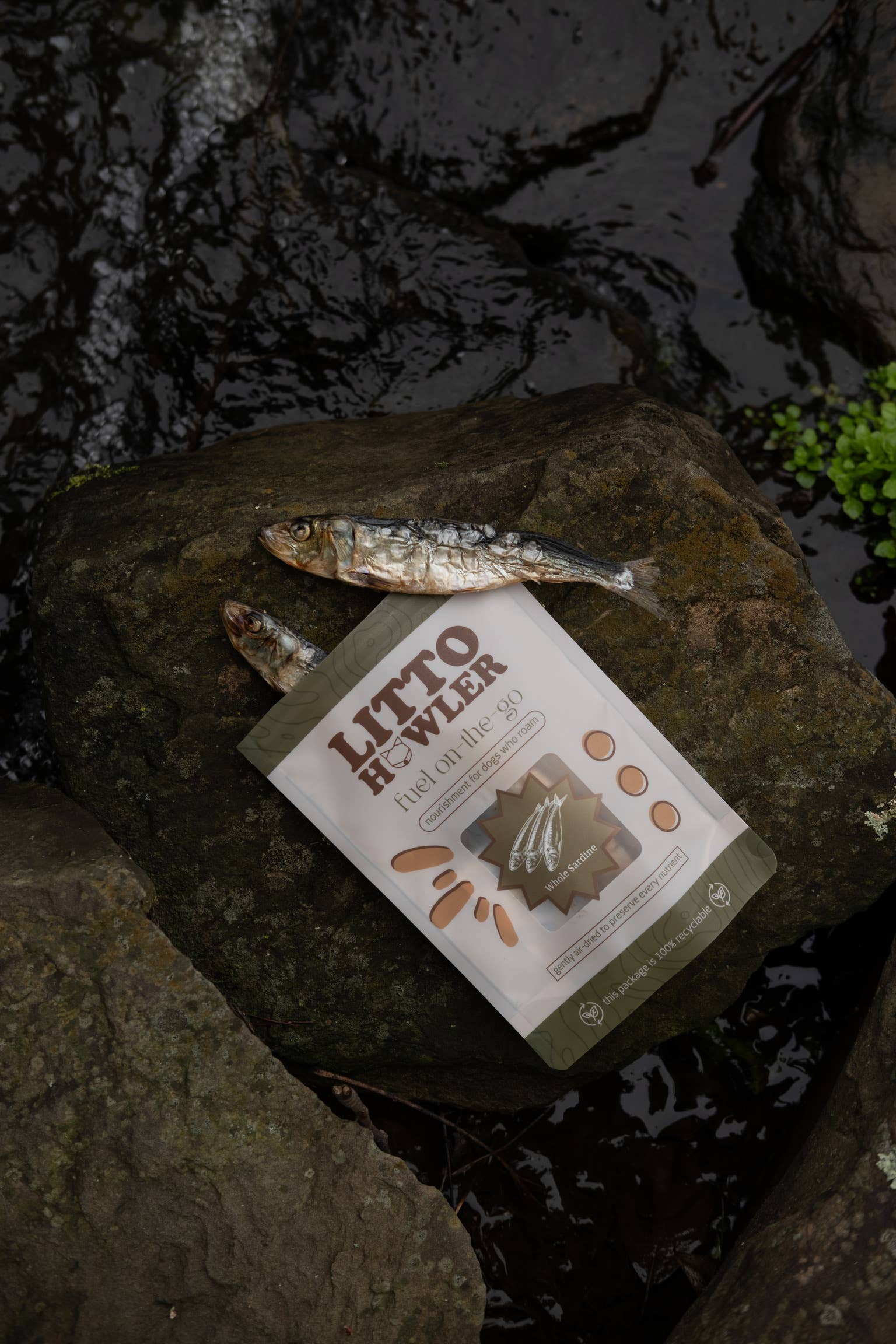 Litto Howler - Wholesale Pet Treats - Cat - Whole Sardines | 3 oz3