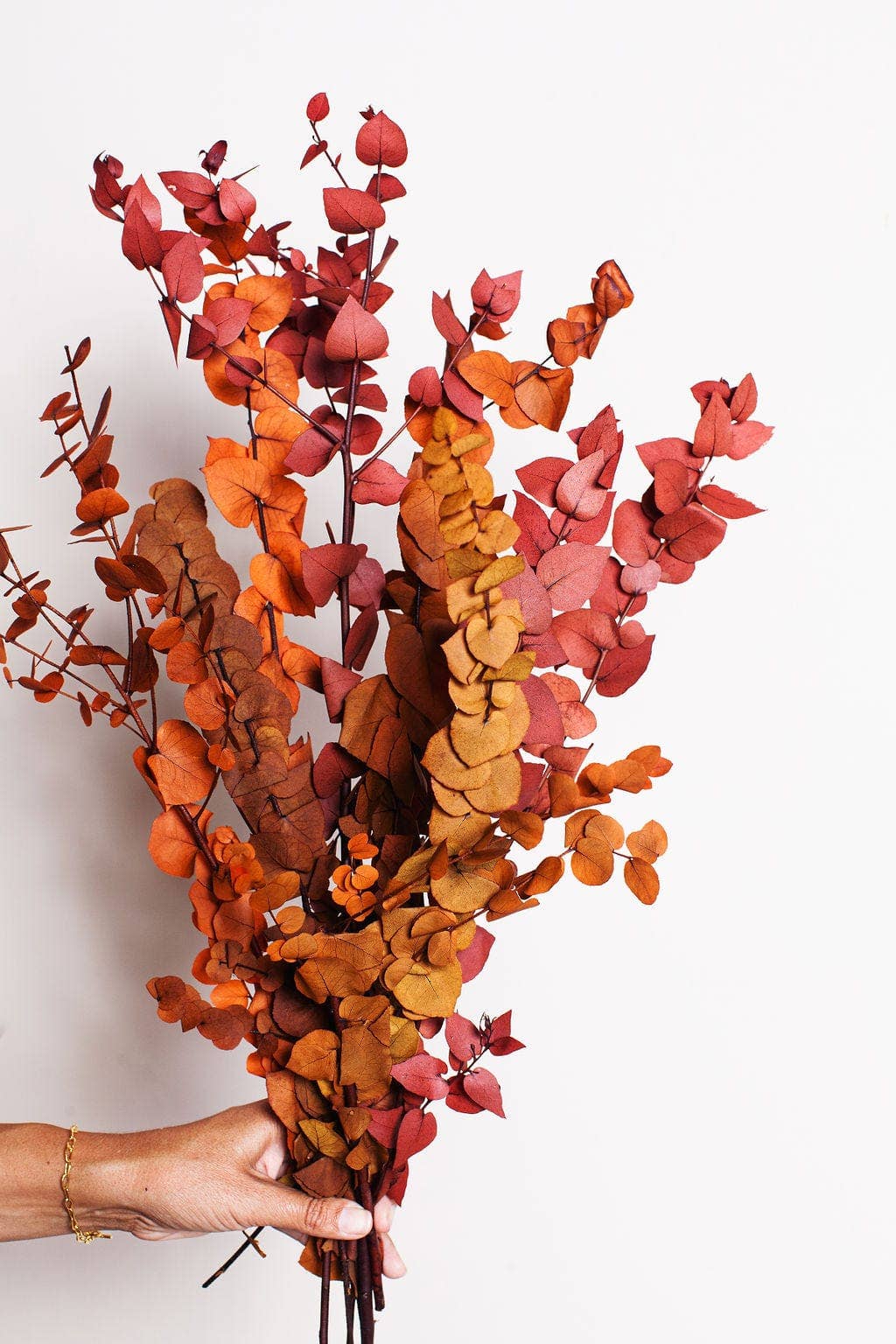 Idlewild Floral Co. - Wholesale Dried/Pressed Flowers - Preserved Copper Stuartiana Eucalyptus2