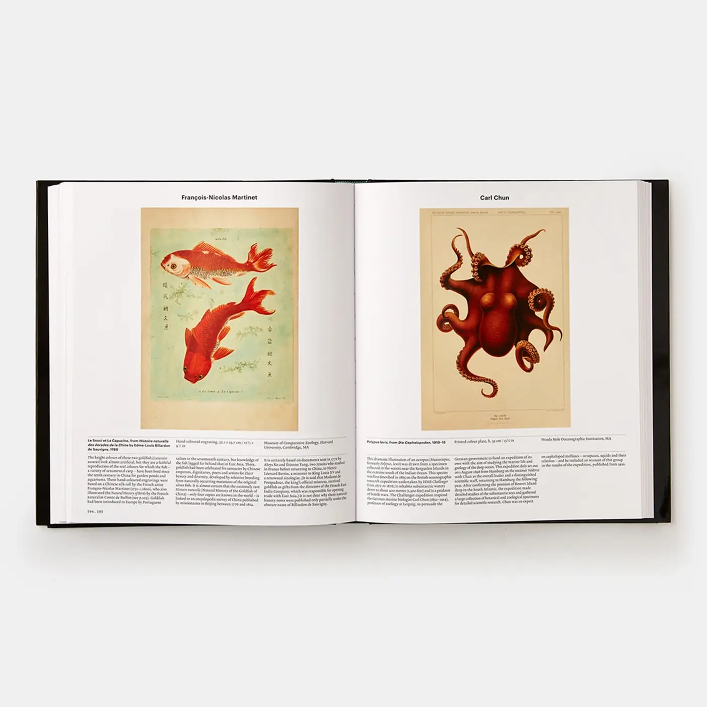 Phaidon - Wholesale Display Book - Animal3