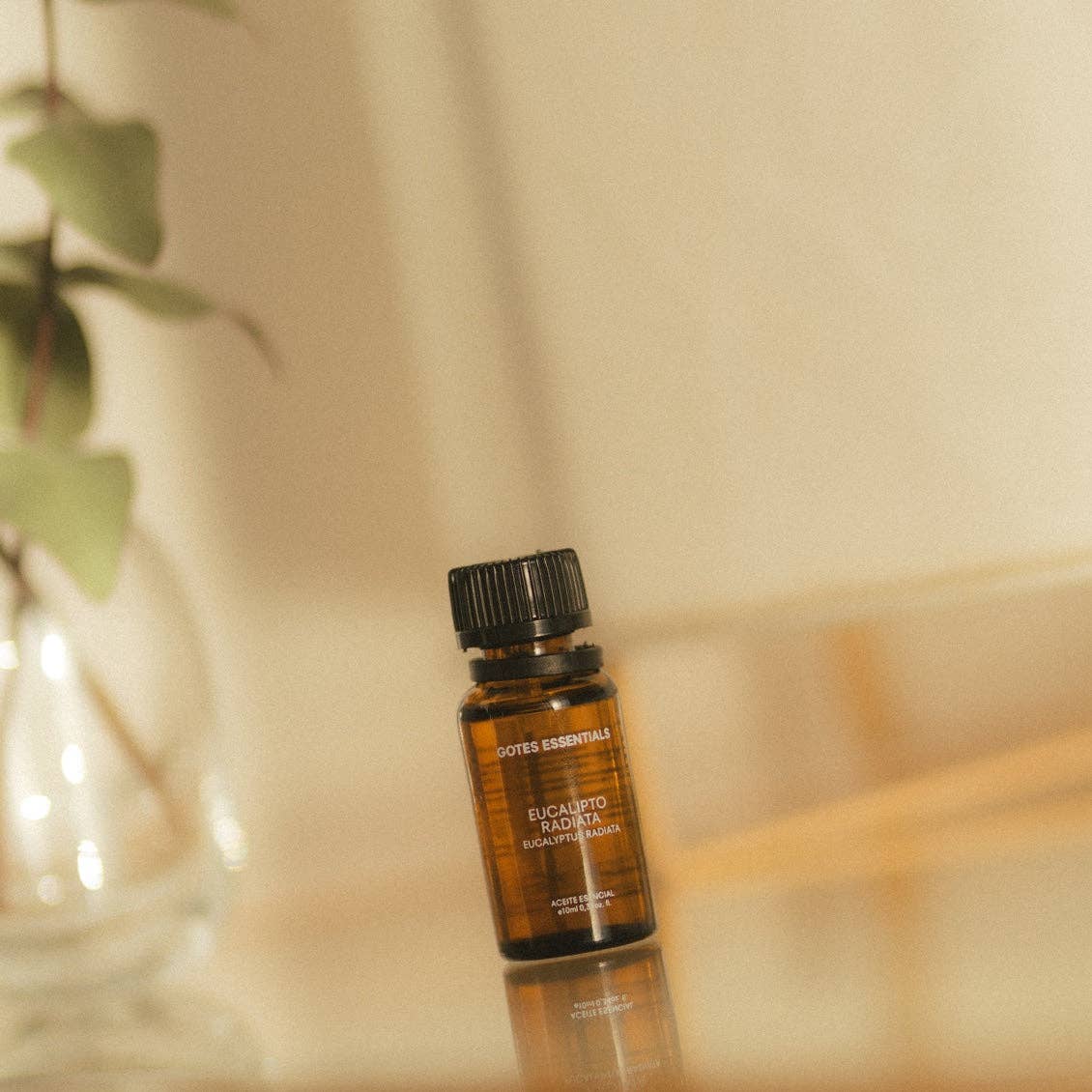 GOTES – Óleo essencial por atacado – Óleo Essencial de Eucalipto Radiata