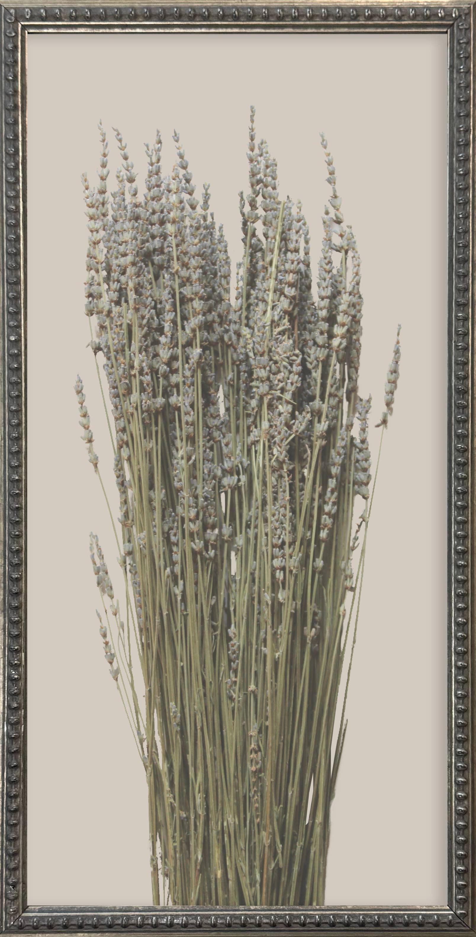 Brayden and Brooks – wholesale Gallery wall set – 12x24 Textured Botanicals Silver Bead Gallery Frame2