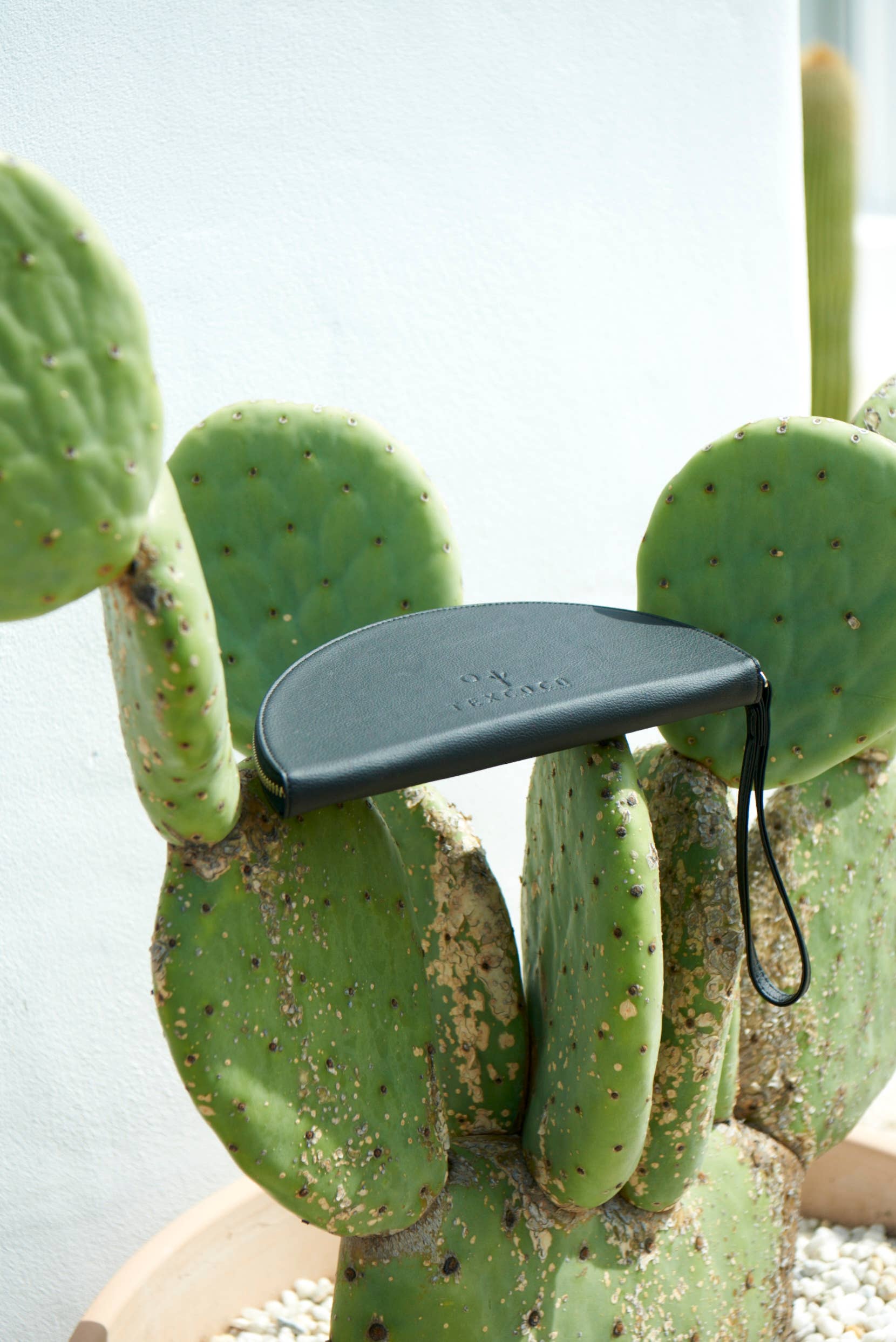 Texcoco Collective – Großhandel Clutch – Damen – 'Media Luna' Clutch-Geldbörse aus Kaktusleder, Schwarz2