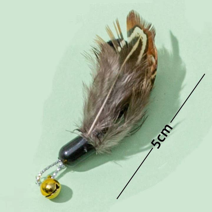 PAWPAWwholesale - Wholesale Pet Toy - Cat - Insect Teaser Wand for Cats – Refill Bug Heads_CWMM67958