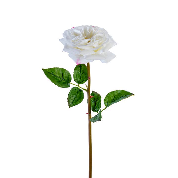 American Best - Wholesale Artificial Flowers - 24" REAL TOUCH GARDEN ROSE STEM4