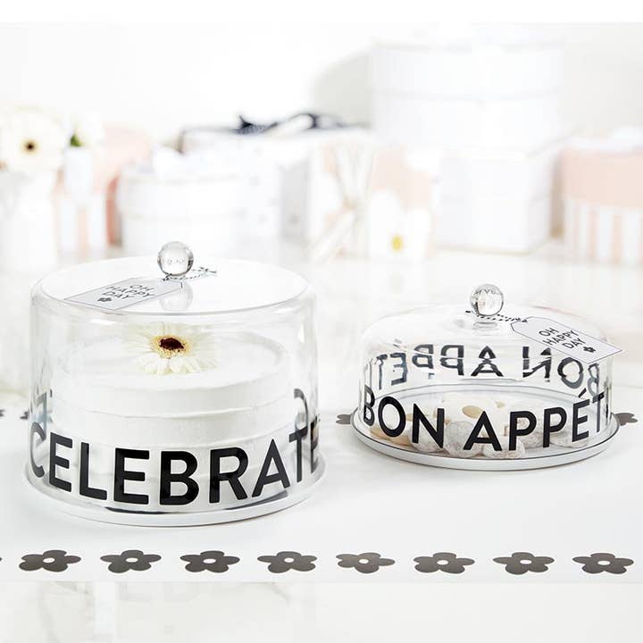 Santa Barbara Design Studio by Creative Brands - Wholesale Cake Stand - Acrylic Cake Dome - Celebrate - Large