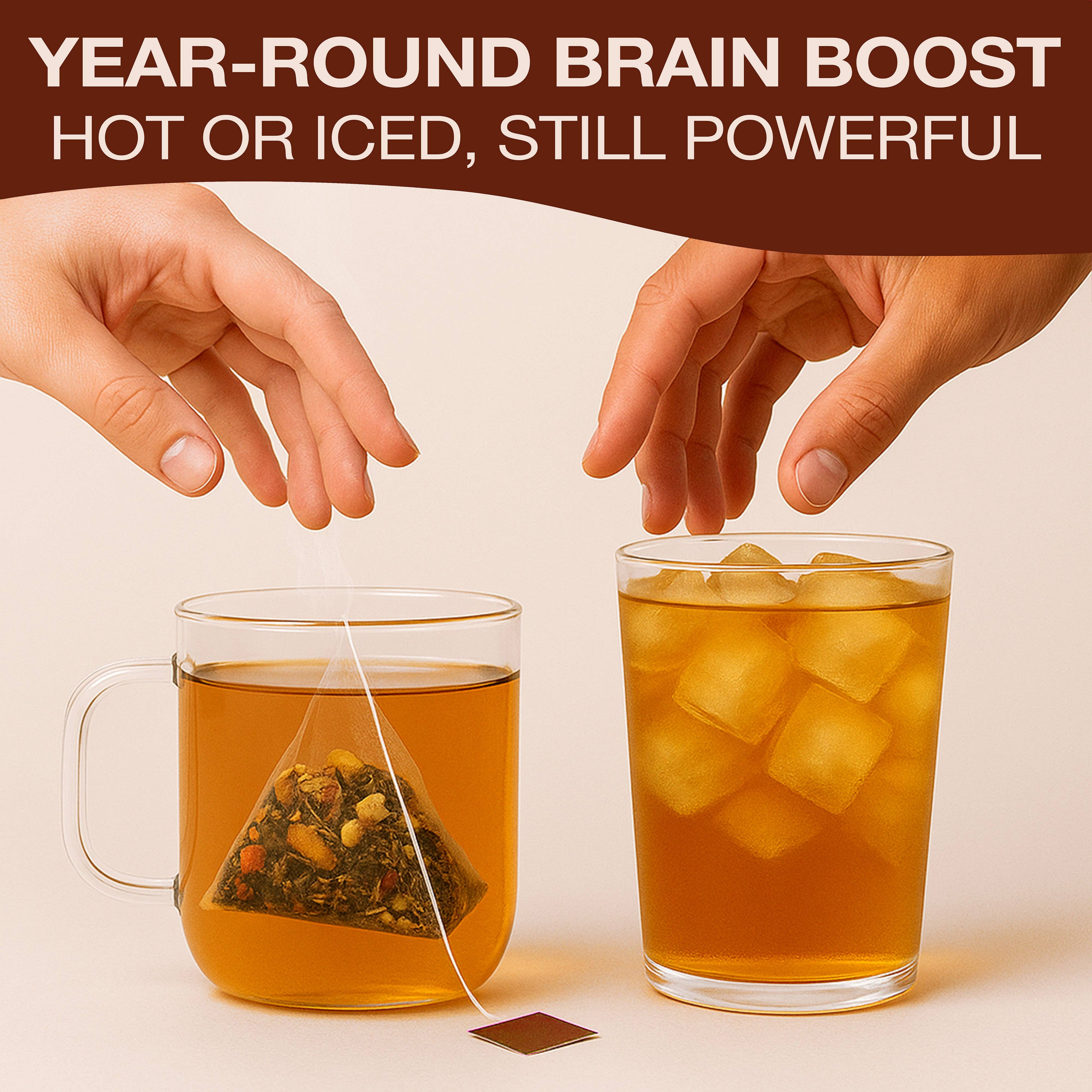 herbl – wholesale Health/detox tea – Brain Boost Mushroom Tea5
