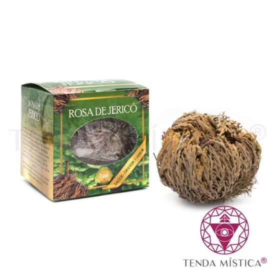 Tenda Mística - Wholesale Kruiden - Rose Of Jericho Verenigde Staten