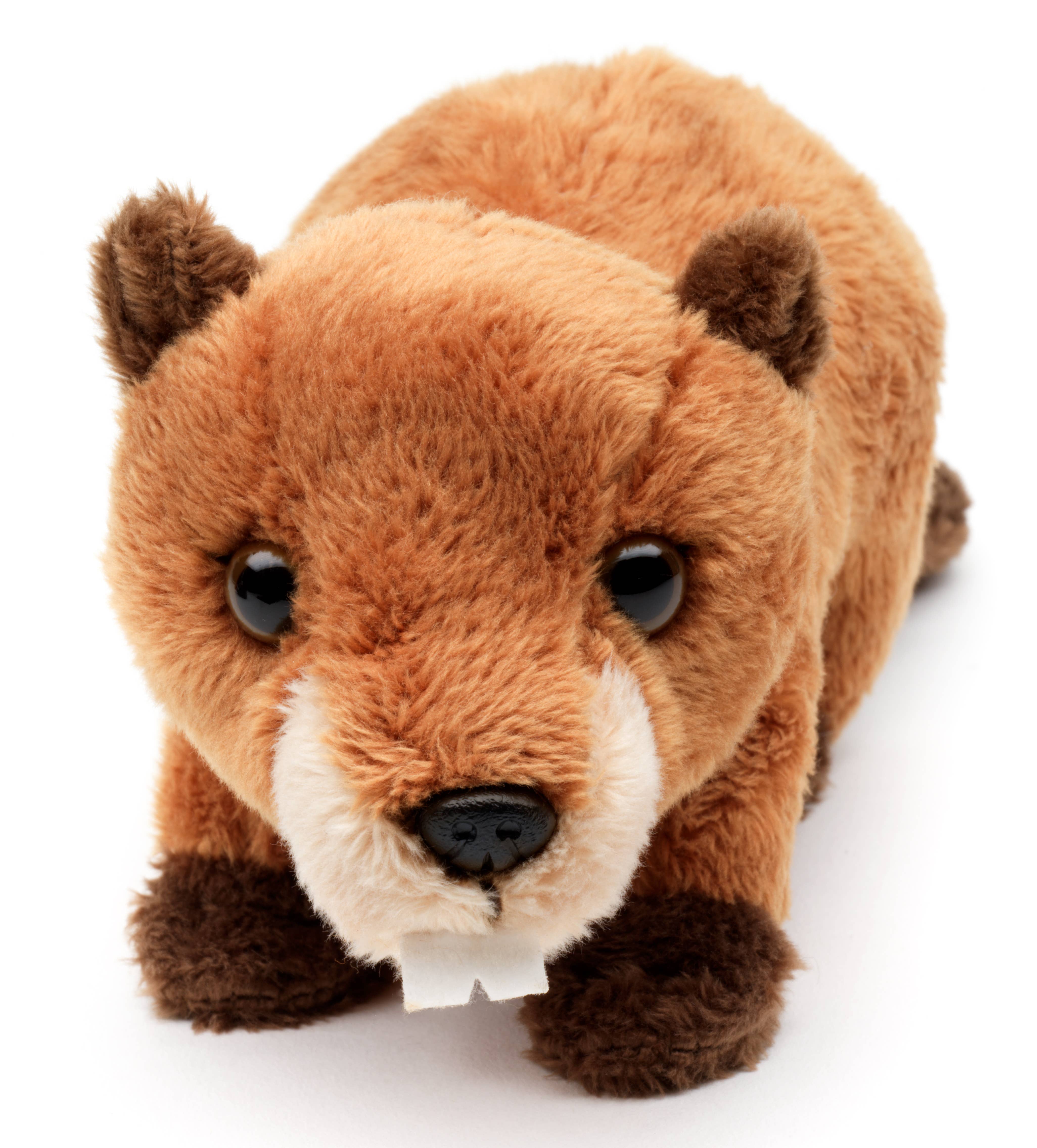 Uni Toys - Wholesale Stuffed/Plush Toy - Kids & Baby - Beaver Plushie - 20 cm (length) - cuddly/plush toy1
