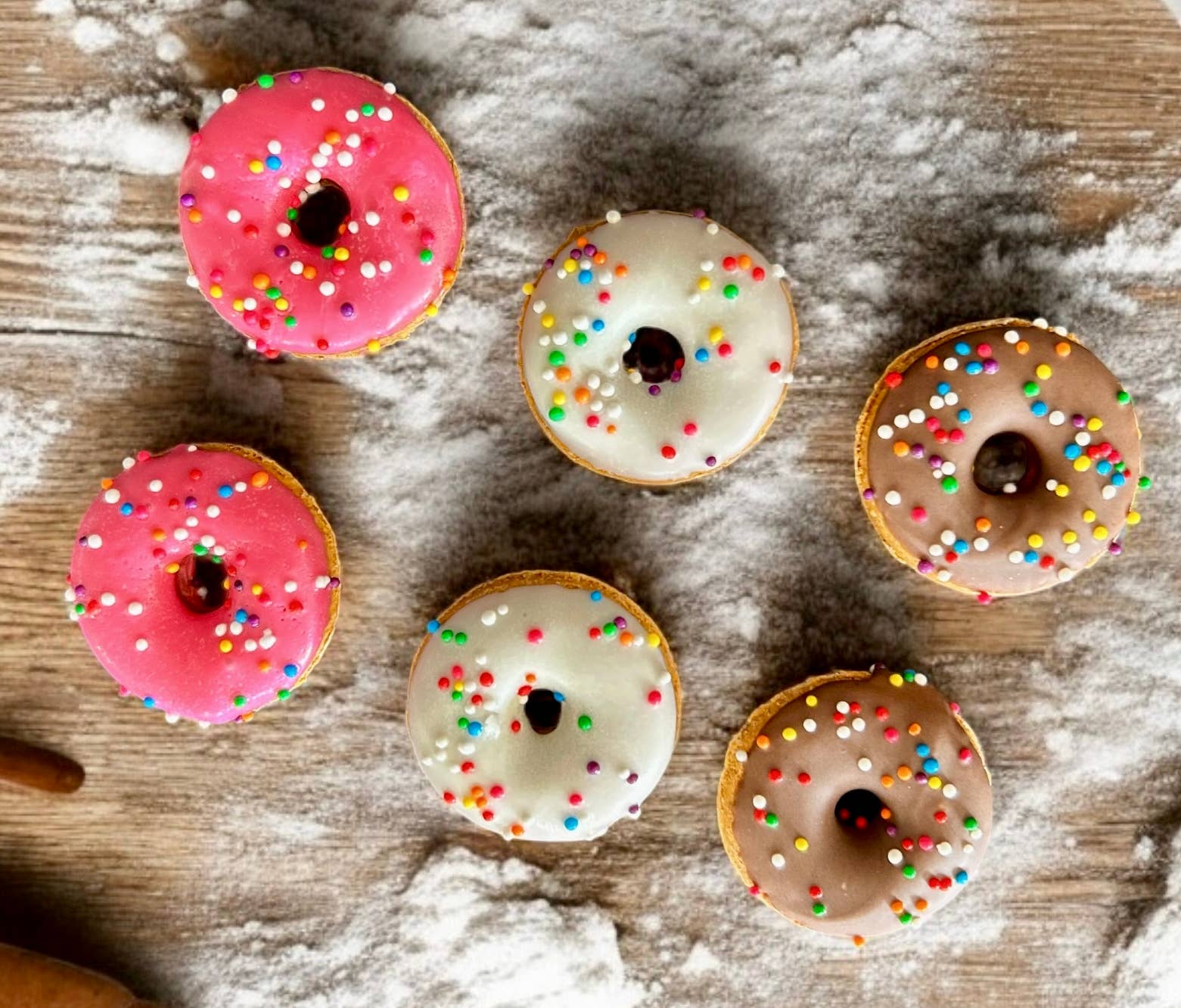 YumYum4DOGS - Wholesale Pet Treats - Dog - Mini HOMER Classic🍩 Donut Dog treats2