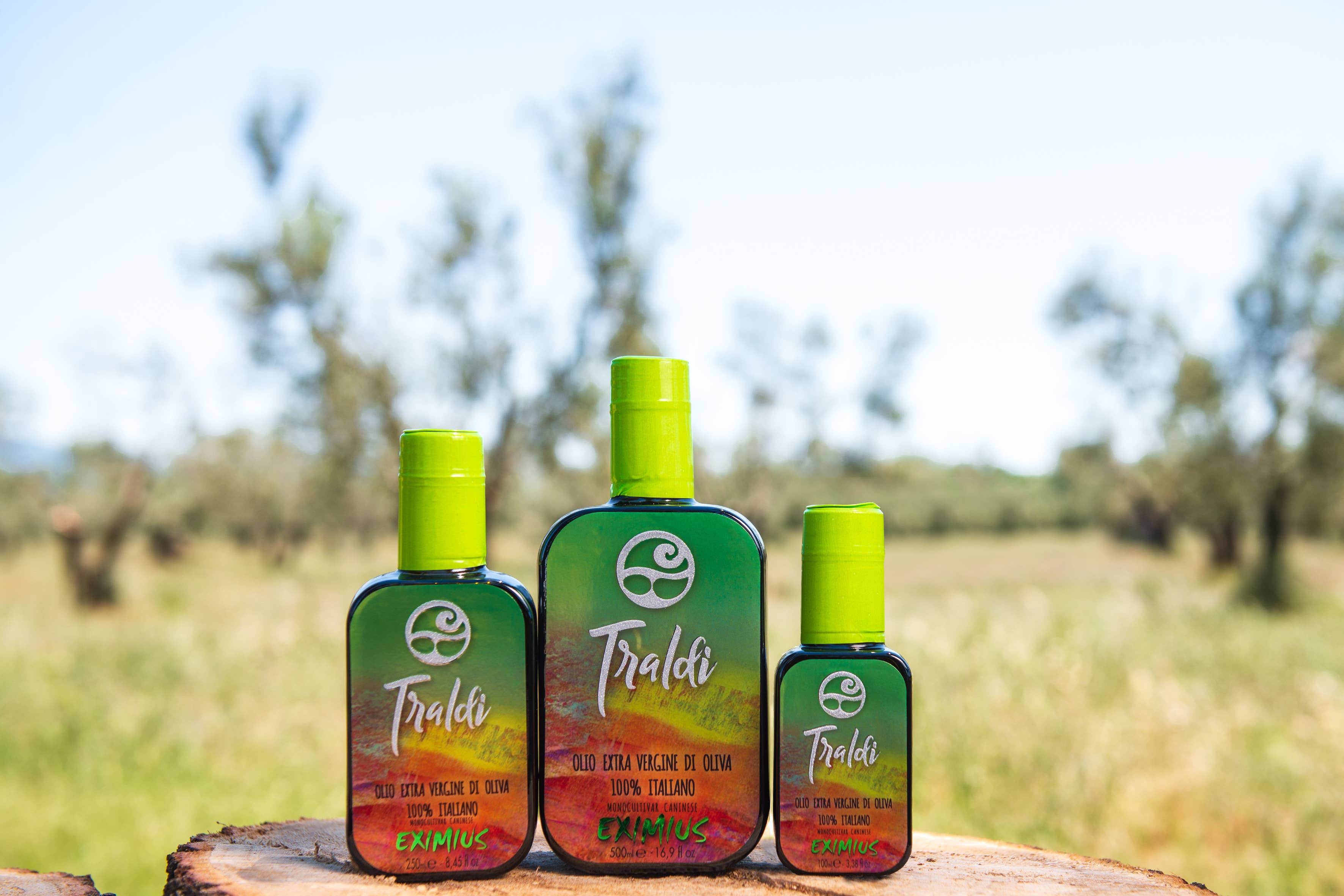 Olio Traldi di Boni Francesca - Wholesale Olive Oil - Eximius Extra Virgin Olive Oil 500 ml1