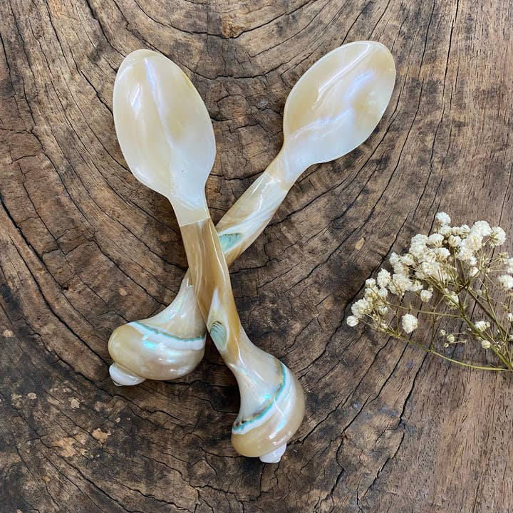 Hala Design - Wholesale Kitchen Spoon - Custom Engraved Oyster and Snail Spoon Length= 16cm5