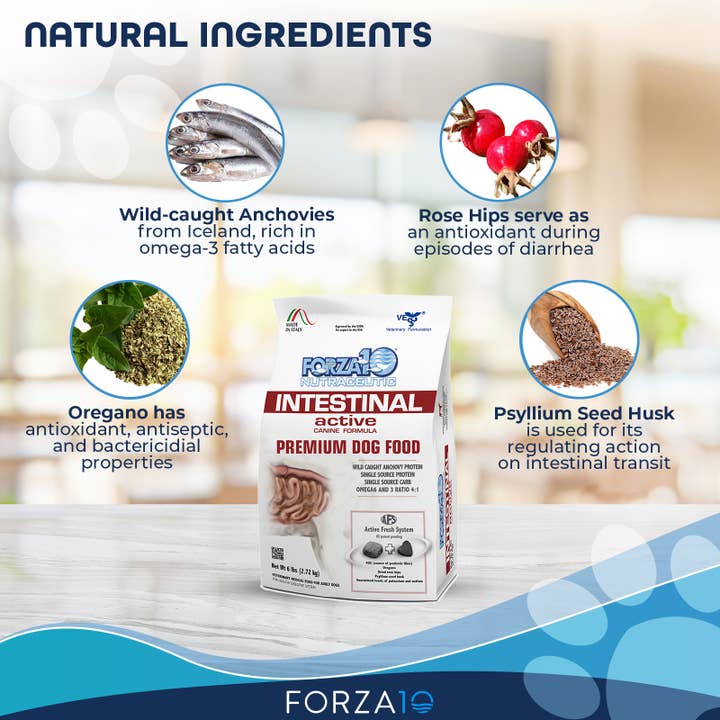 Forza10 Pet Food - Wholesale Pet Food - Dog - Forza10 Active Intestinal Support Diet Dry Dog Food