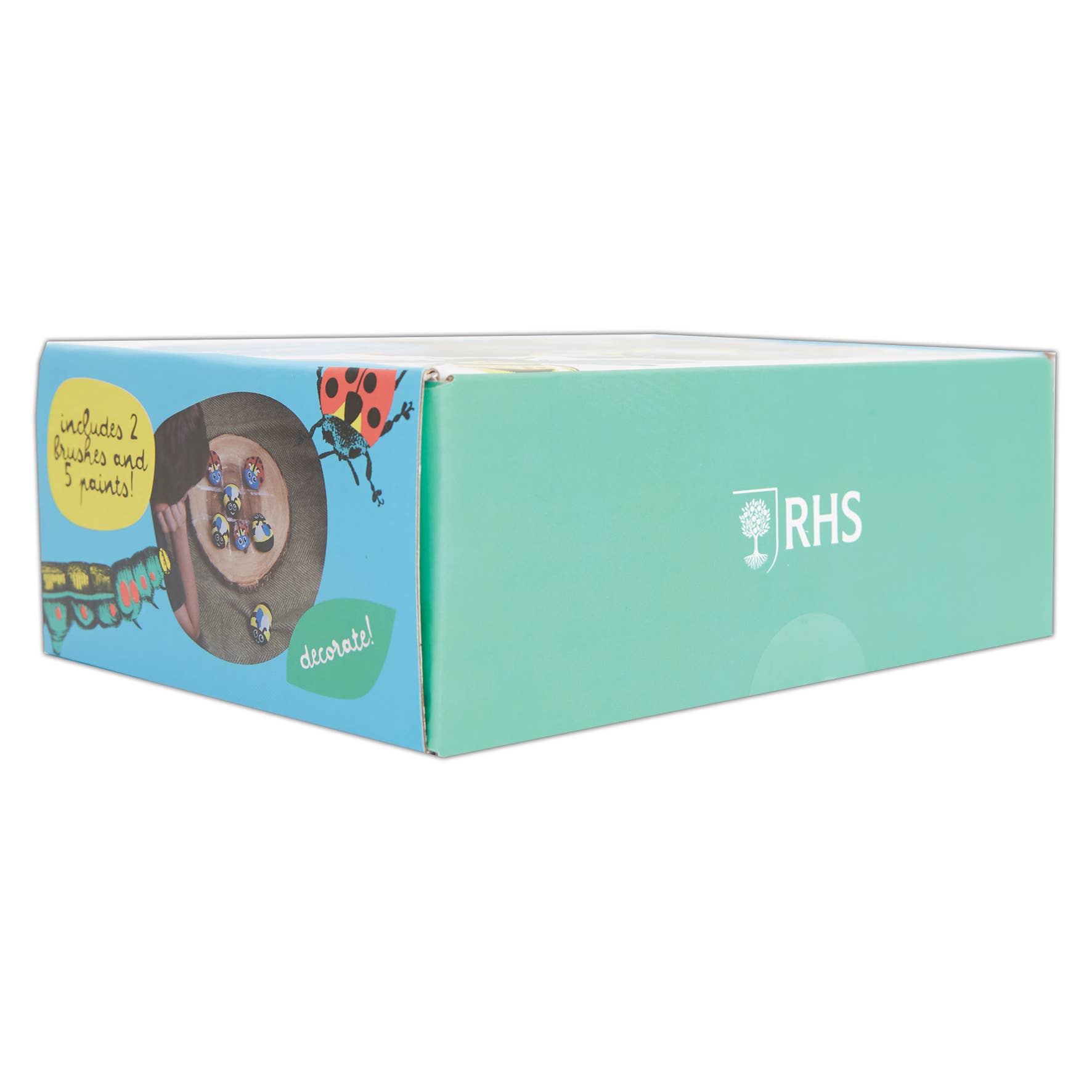 West Design Products – wholesale DIY craft kit – Child – Royal Horticultural Society Rock Painting Kit - Bugs1