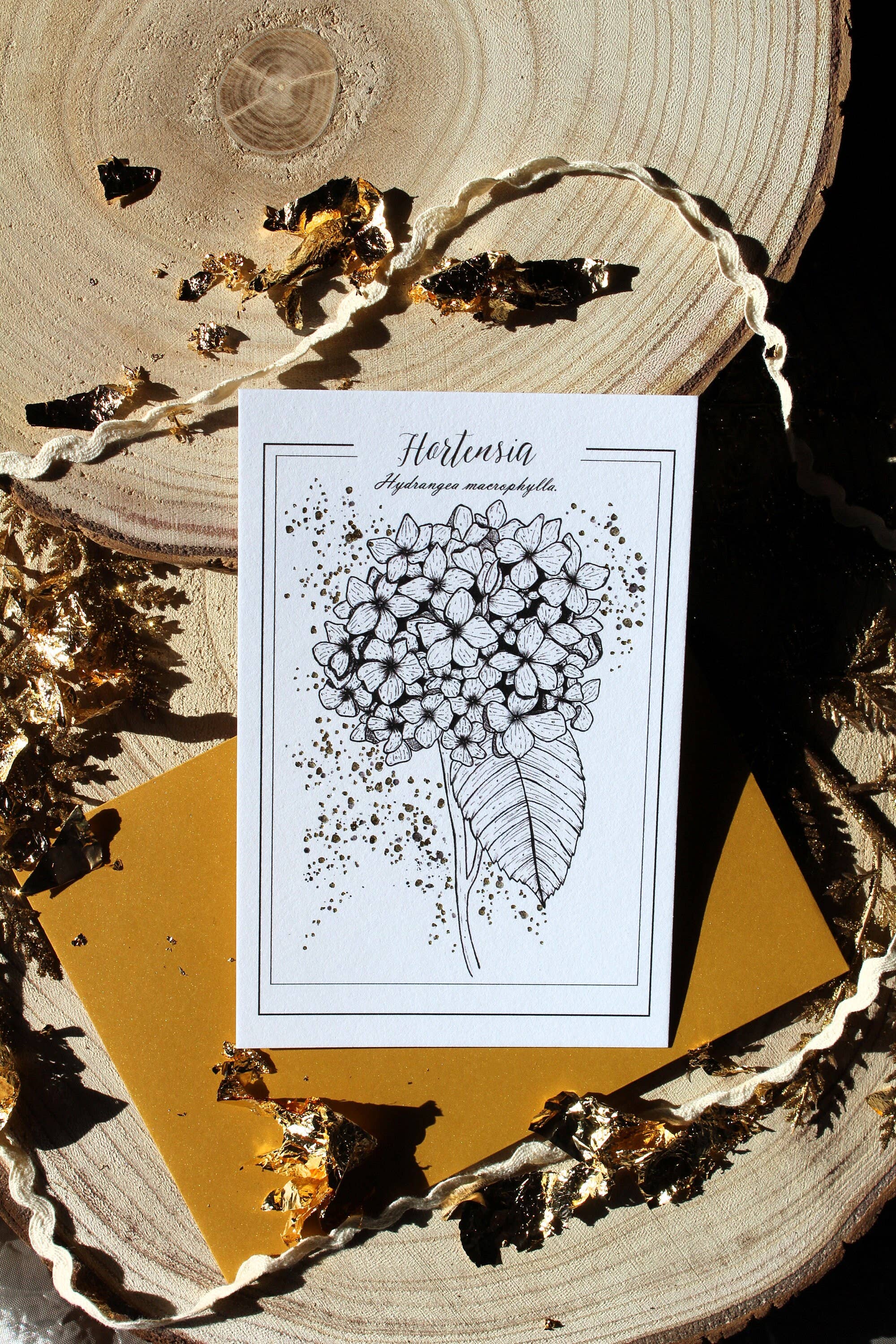 Au cœur des lunes - Vente Cartes postales - Reproduction botanique hortensia dorée et gravure4