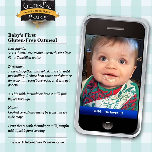 Gluten Free Prairie LLC - Wholesale Flour - 1 Lb Toasted Oat Flour - grain2