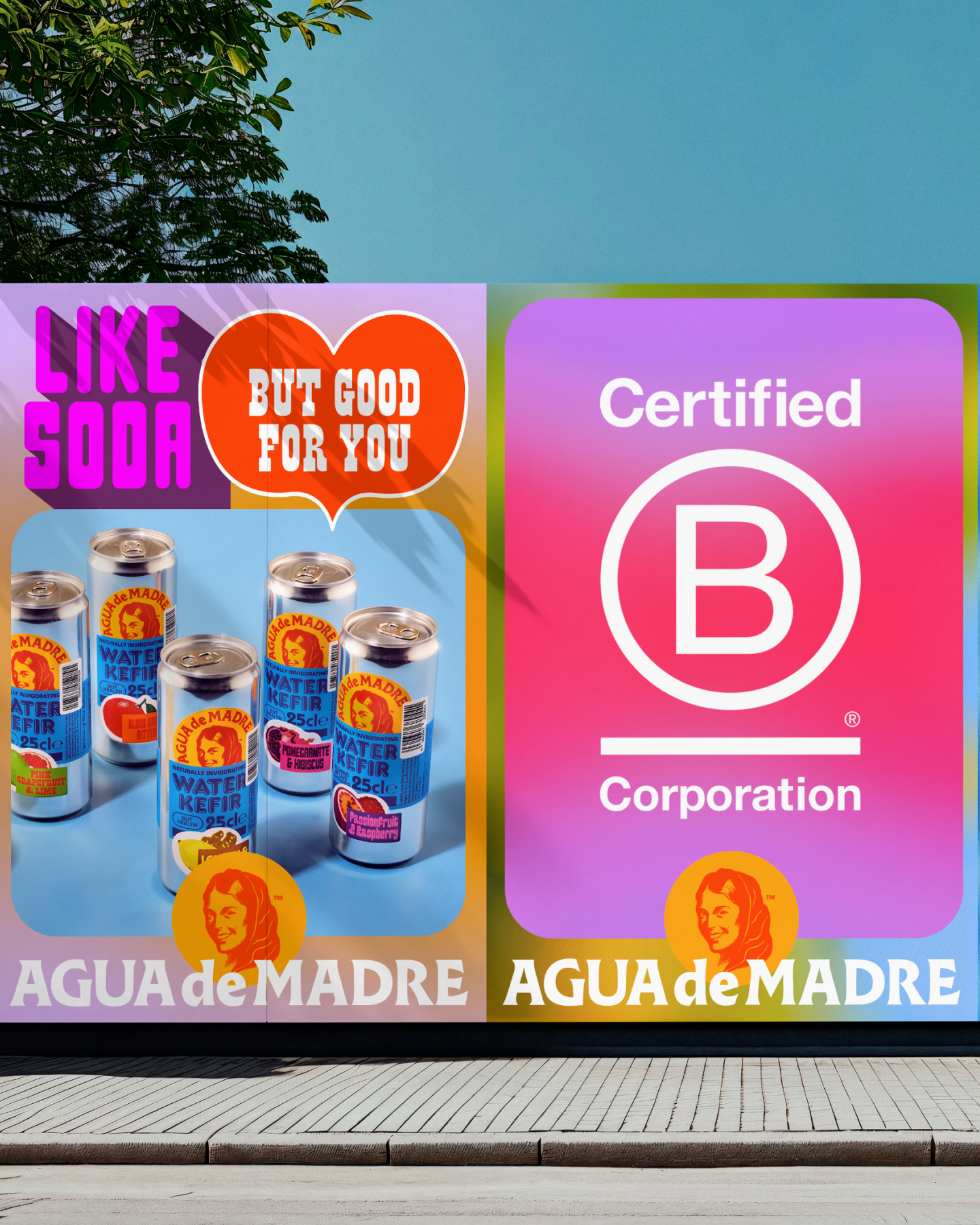 Agua De Madre - Vendita all'ingrosso Kombucha - Agua De Madre acqua kefir in lattina 25 cl4