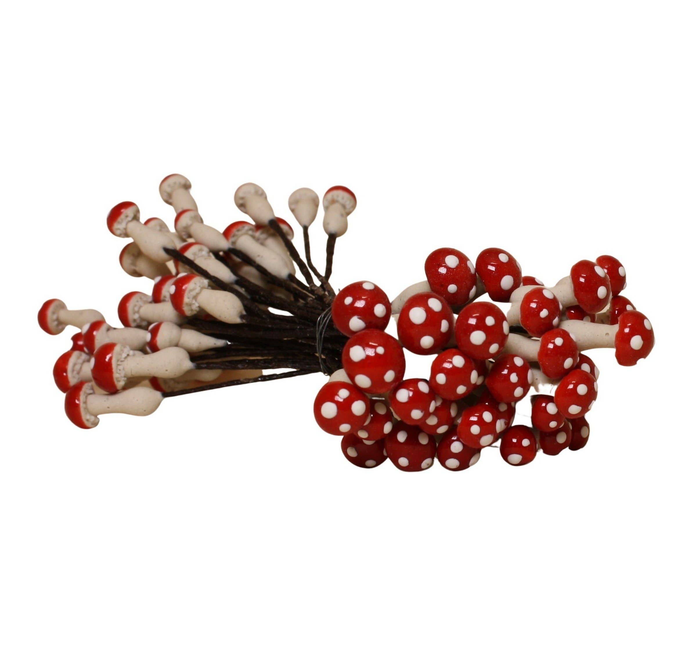 mélanger Champignons en plâtre rouge, 1/4 po, double tête, 35 pièces 218-0166 en vente sur Faire5