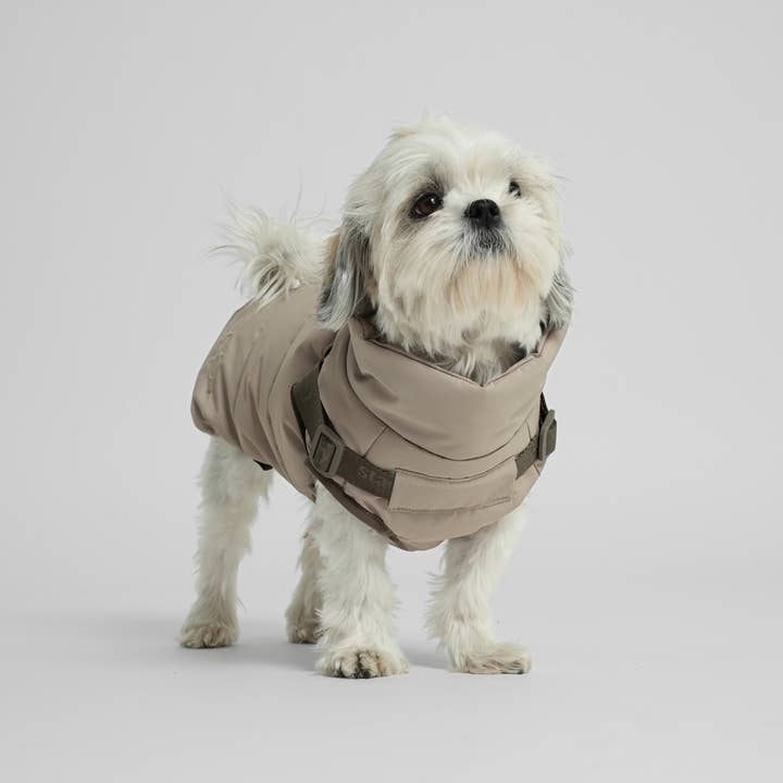 Staey - Wholesale Pet coat – Dog - Vera Dog Coat with Harness | Sand3