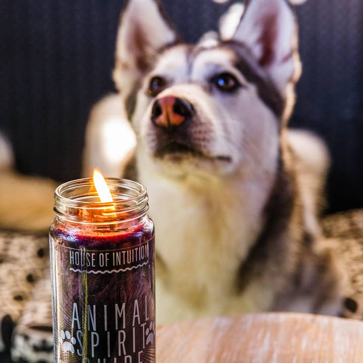 Animal Spirit Guide Magic Candle for wholesale by House Of Intuition
