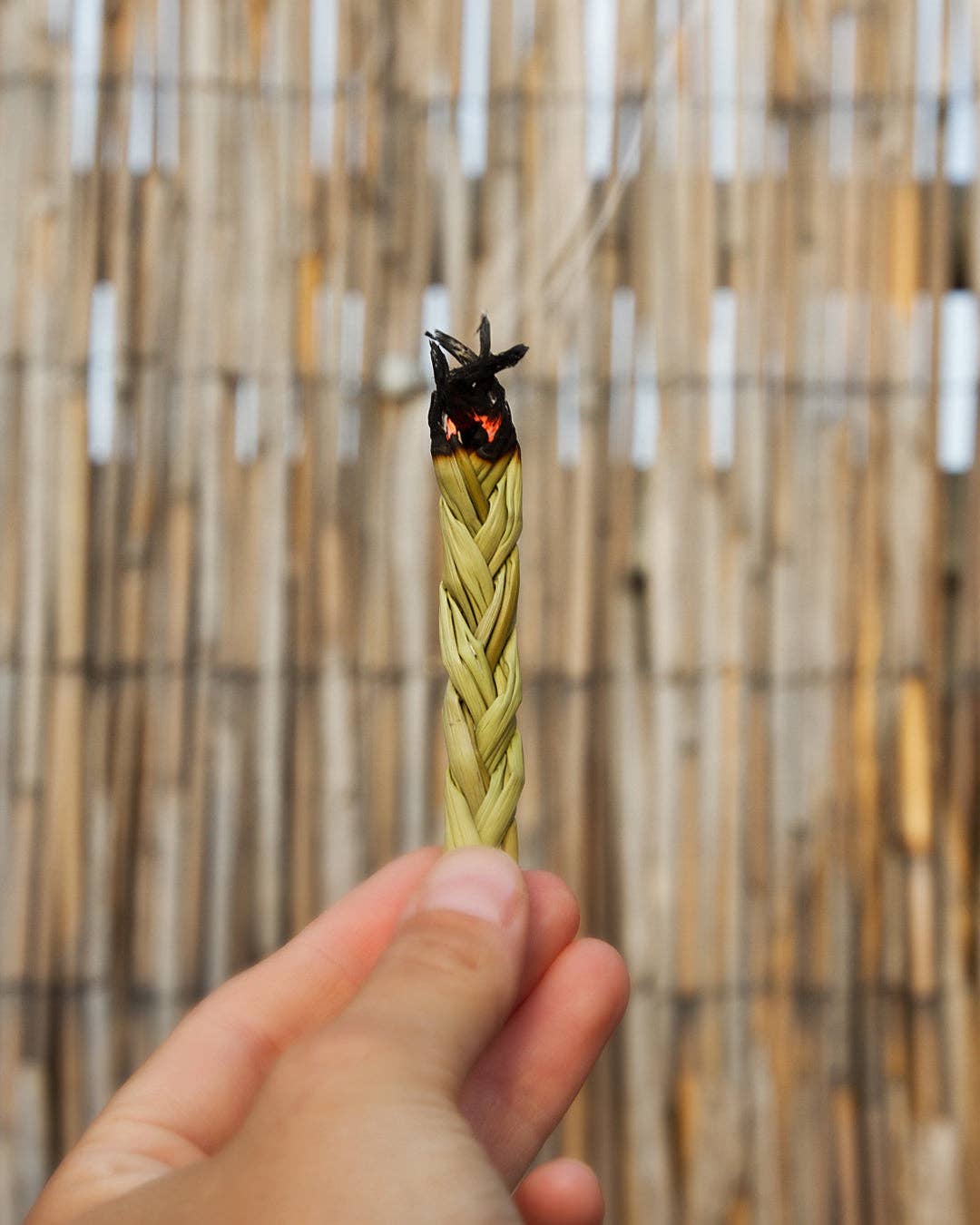 Oh Shanti - Wholesale Sage Bundle - Sweetgrass for smoking (2 pieces)2