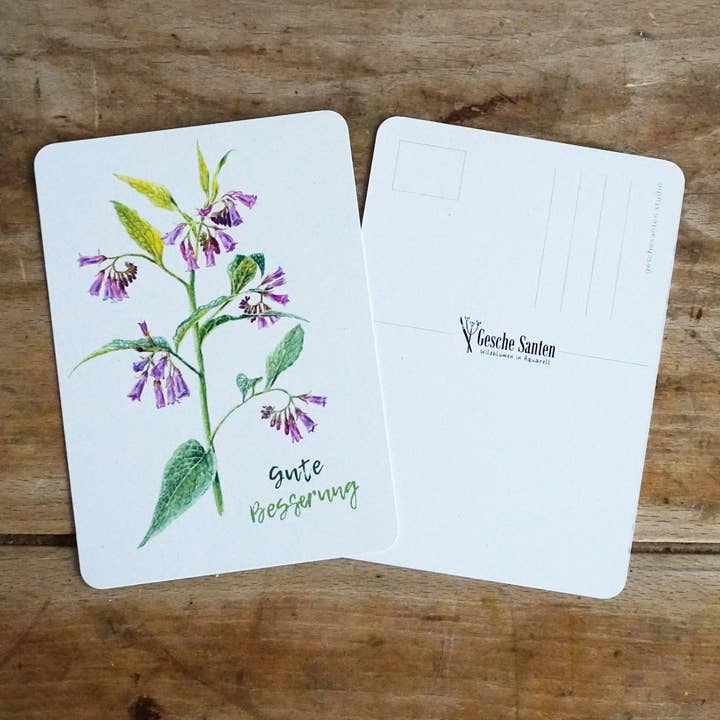 Saudações de ervas Postcard "Consolda - As melhoras" DIN A6 por atacado de Gesche Santen - Unkraut in Aquarell