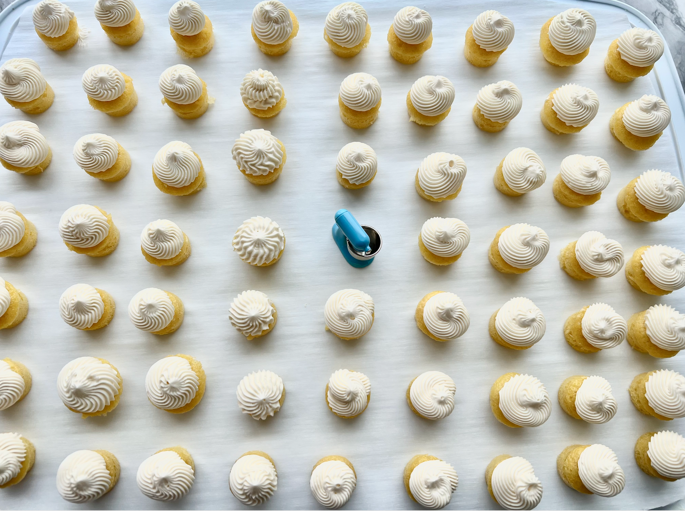 FROST Buttercream - Wholesale Icing - Vanilla Bakery Buttercream Frosting 5