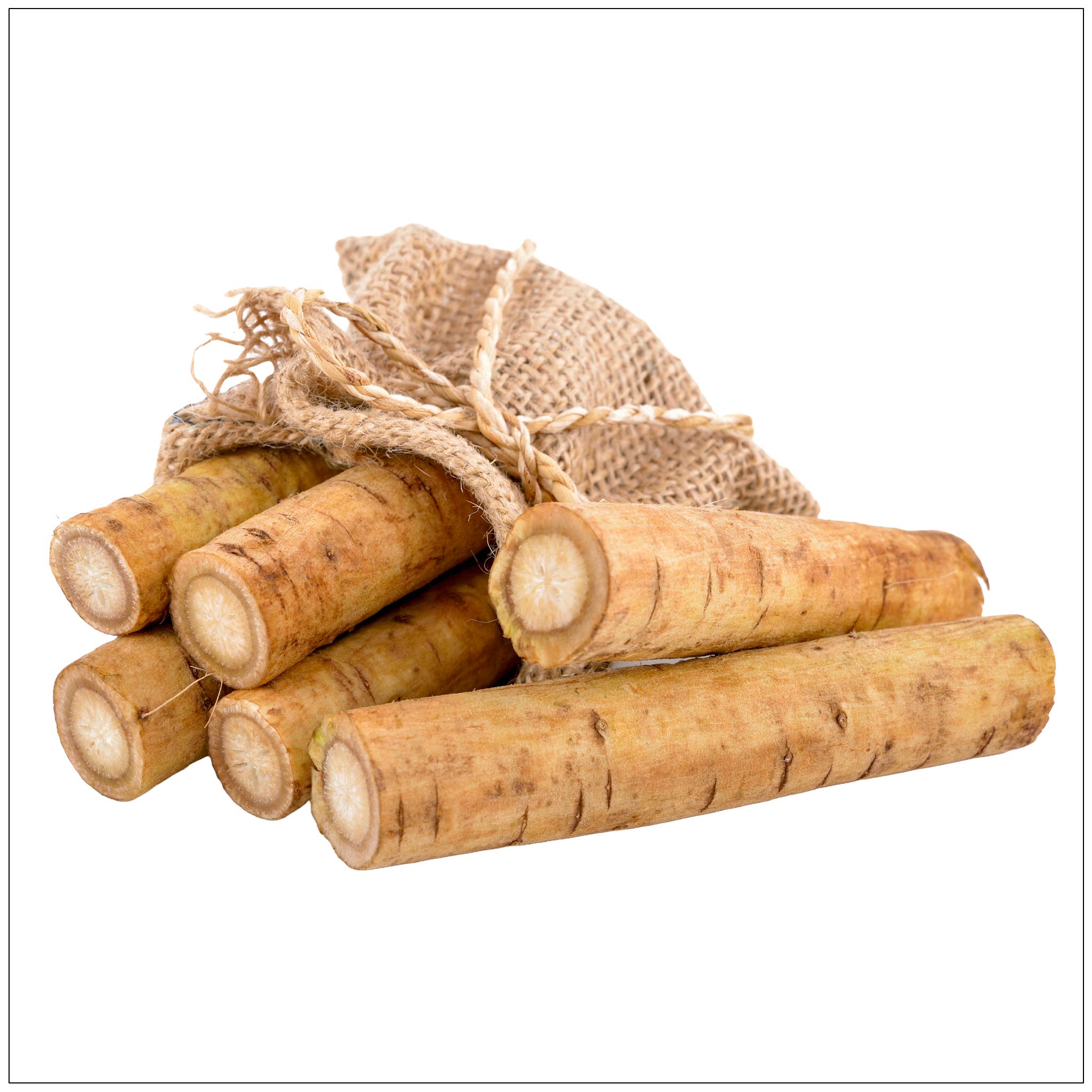 Alive Herbals - Wholesale Health/Detox Tea - Organic Burdock Root – Natural Detox & Wellness Herb