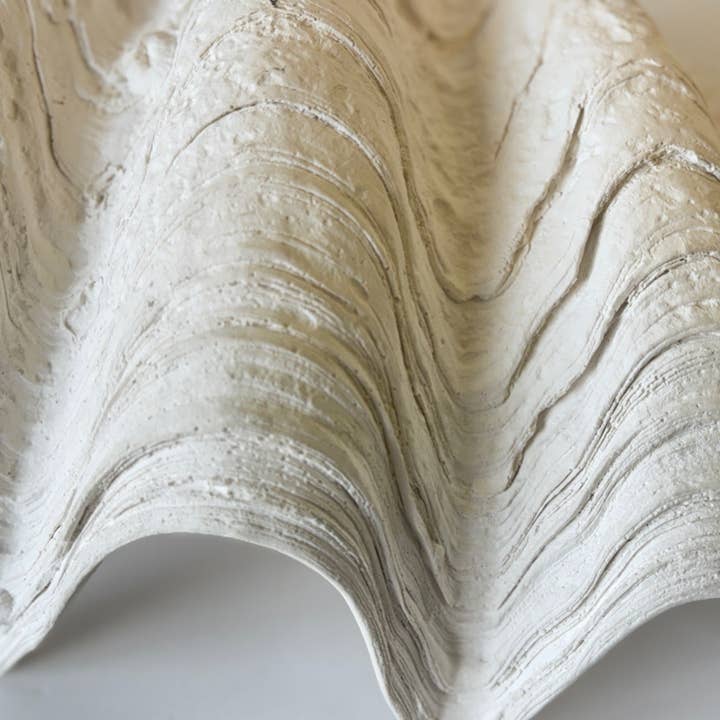 House Parts, Inc. - Wholesale Decorative Tabletop Object - South Pacific Clam Shell4