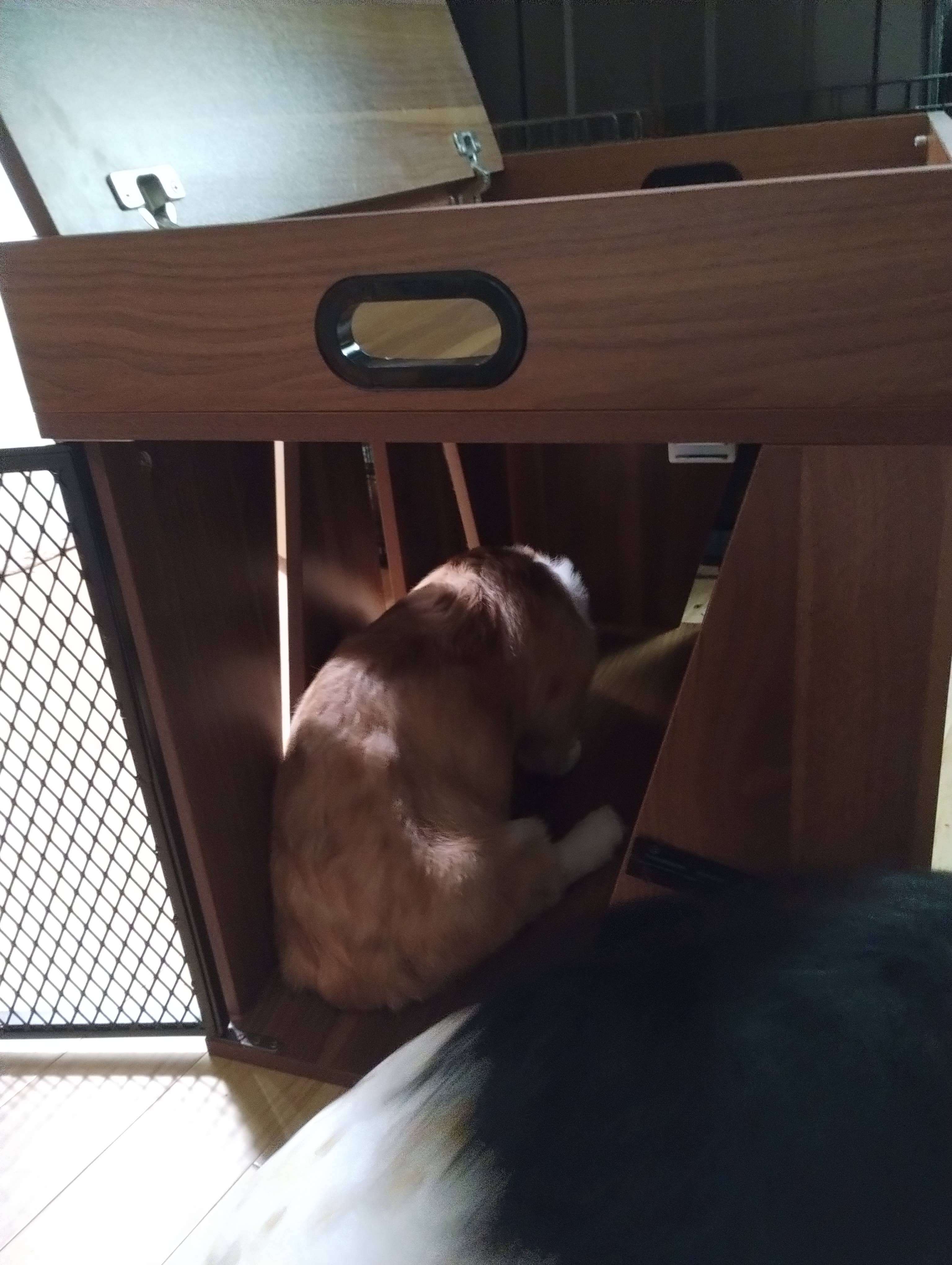 Designer Pet Products, LLC - Wholesale Pet Carrier - Cat/Dog - Dog Crate ,Dog Furniture ,Lucky Kennels Penny18