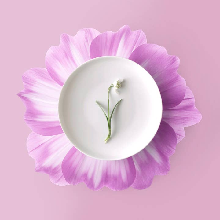 Emily Evans - Venta al por mayor Manteles individuales - Set de 6 individuales redondos con diseño de flores en PVC