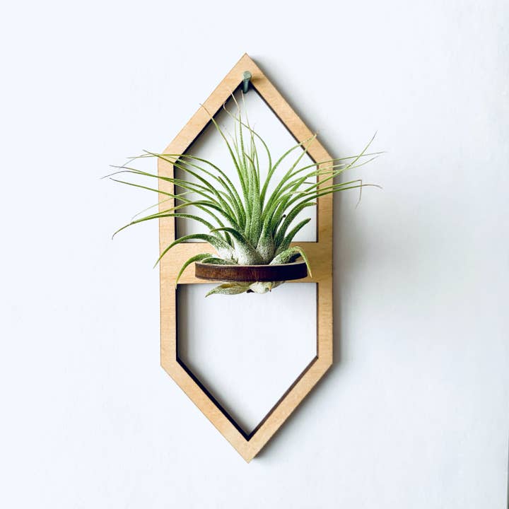 Soporte colgante de madera con forma de hexágono para plantas de aire© para venta al por mayor de Aurora North Home