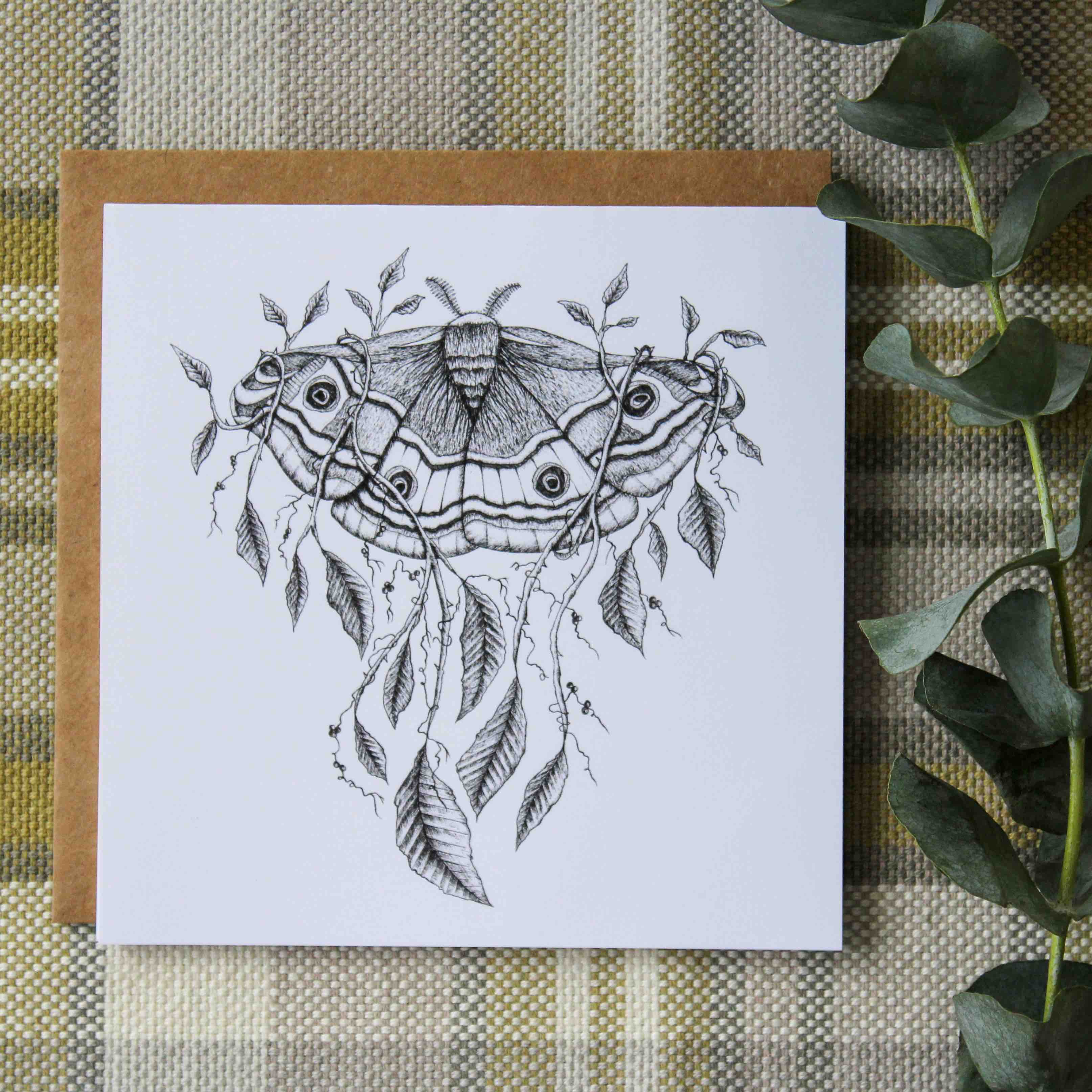 Mackenzie Myrick Studio - Vente Carte de vœux classique - Emperor Moth | Carte de voeux1
