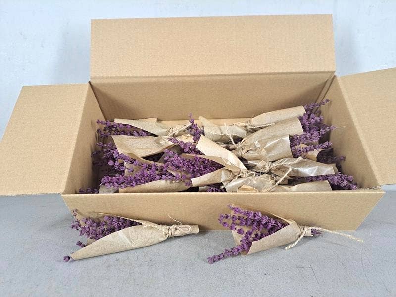 Dutch Flower Studio - Vente Fleur séchée/pressée - Lavande préservée - Mini bouquet de fleurs séchées5