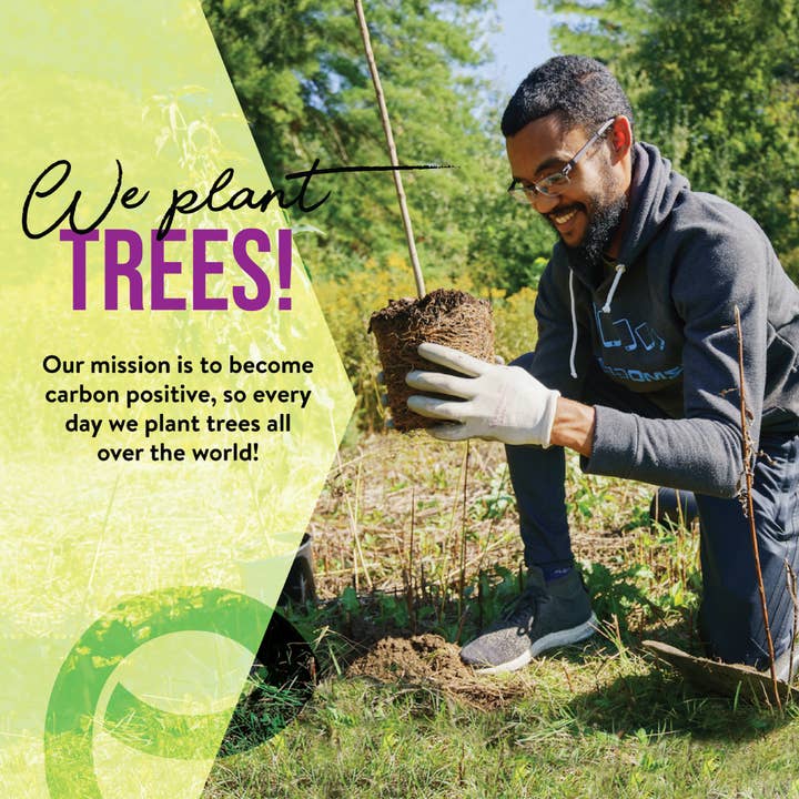 EcoSlurps - Vendita all'ingrosso Spazzolino da denti - Spazzolini da denti in bambù, di marca britannica, ecologici4