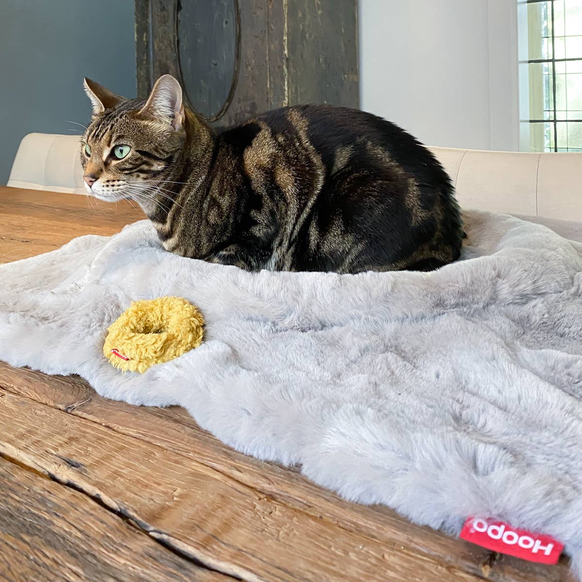 Hoopo - Wholesale Pet Bed - Cat - Flip Cat bed9