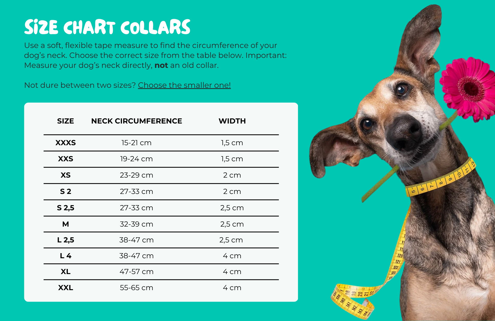 Dog with a Mission - Wholesale Pet Collar - Dog - Collar Urban JESSY11