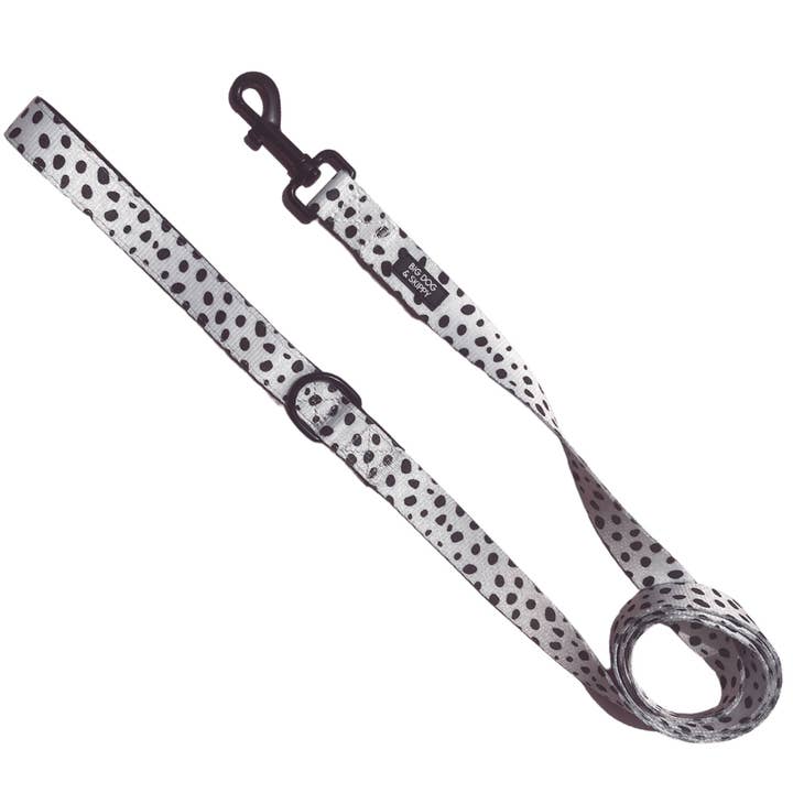 Lead - Lots of Spots for wholesale by Big Dog and Skippy