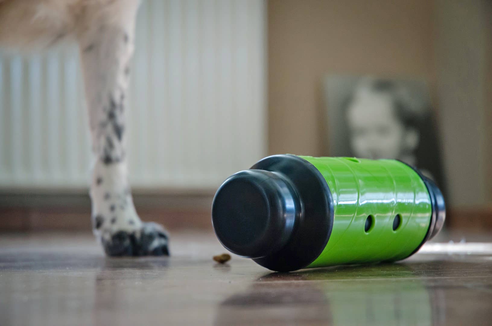 Hofman Animal Care - Wholesale Pet Bowl - Cat/Dog - Eat Slow Live Longer Feed & Treat Roller Green L1