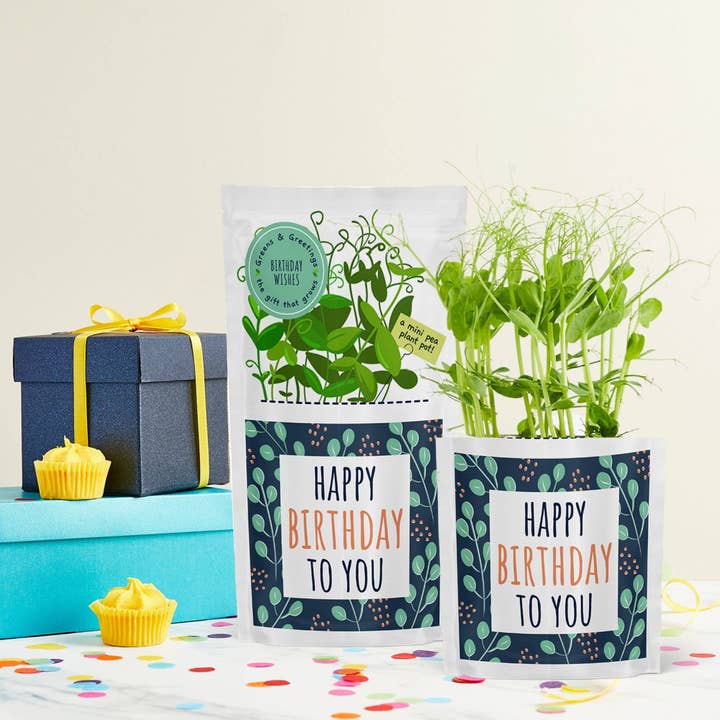Happy Birthday Eco Growable Tasty Greetings Card & Seed Gift for wholesale by Shroot: Kabloom Seedboms