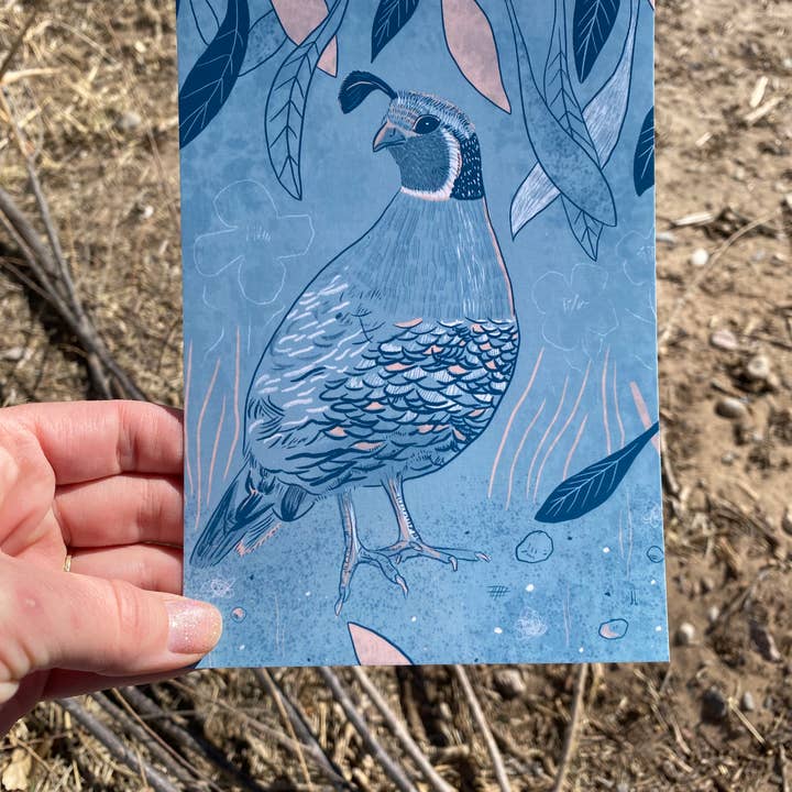 June Jewell Designs - Wholesale Art Print - 5”x7” Quail on Blue Art Print1