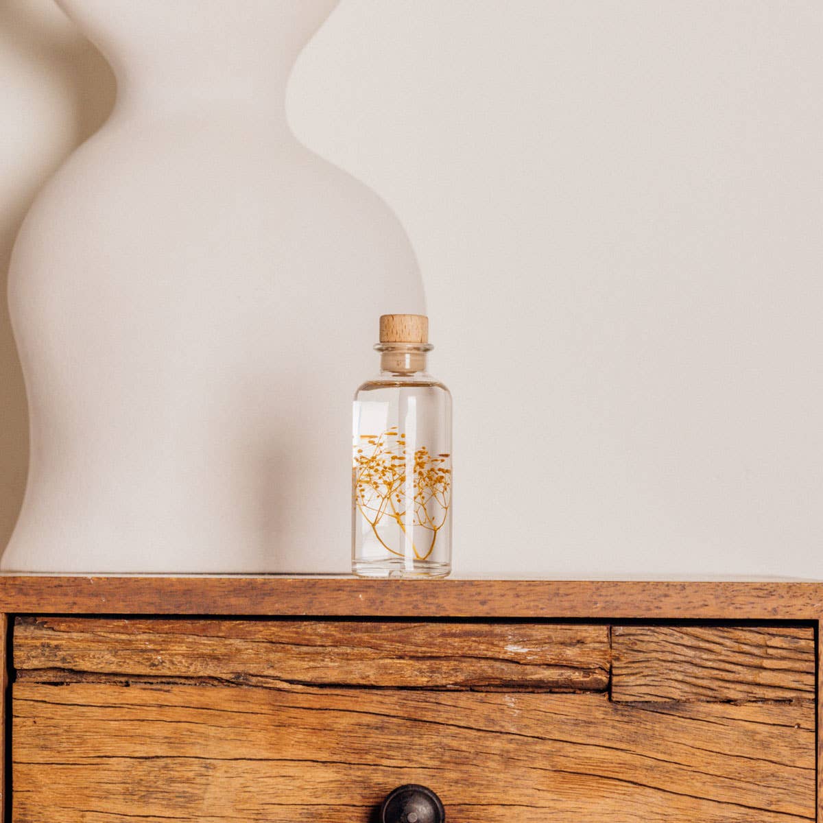 Theophile Berthon - Vente Plante - L'Herbarium Gypsophile safran - plante immergée0