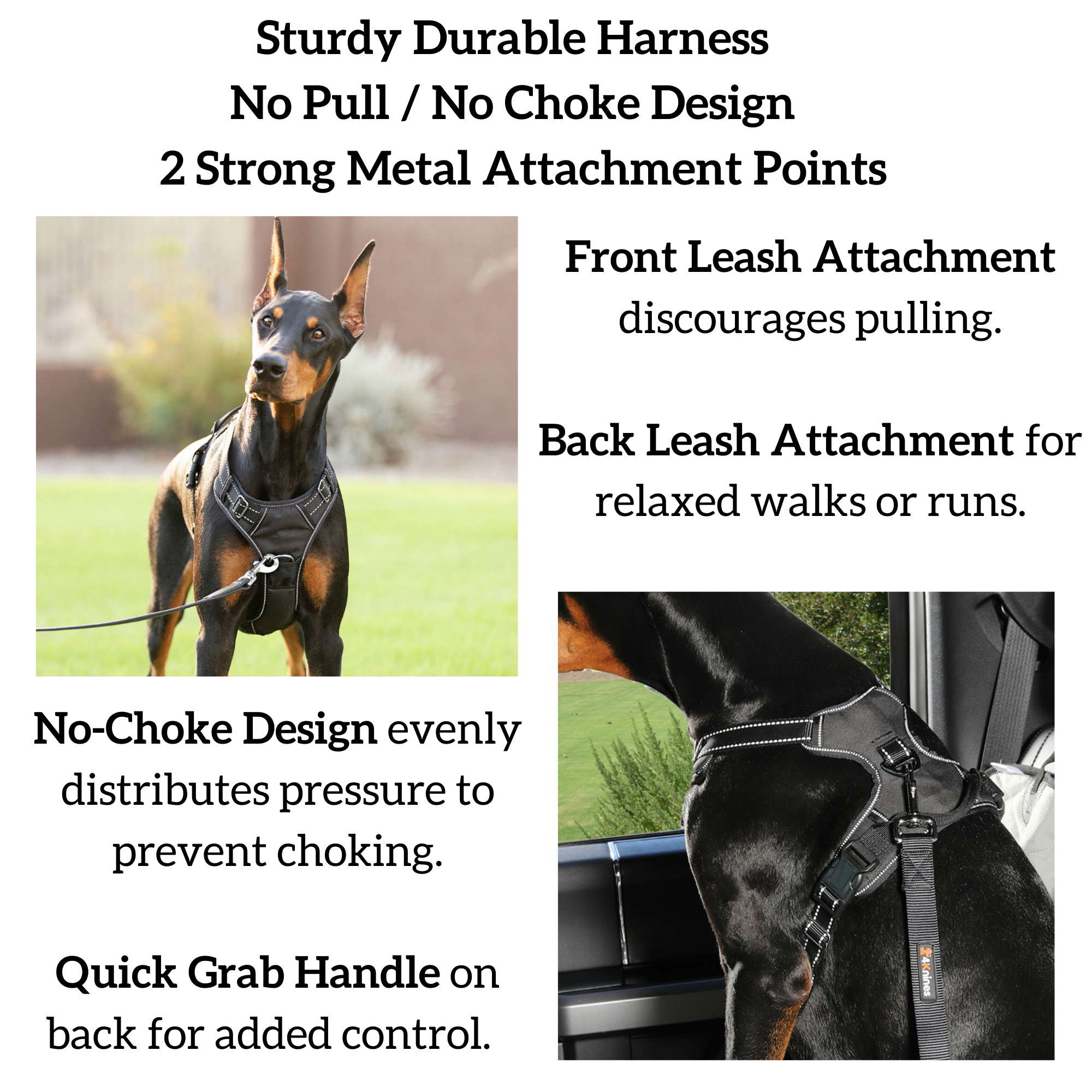 4Knines – Großhandel Haustierdecke – Hund – Hundegeschirr7