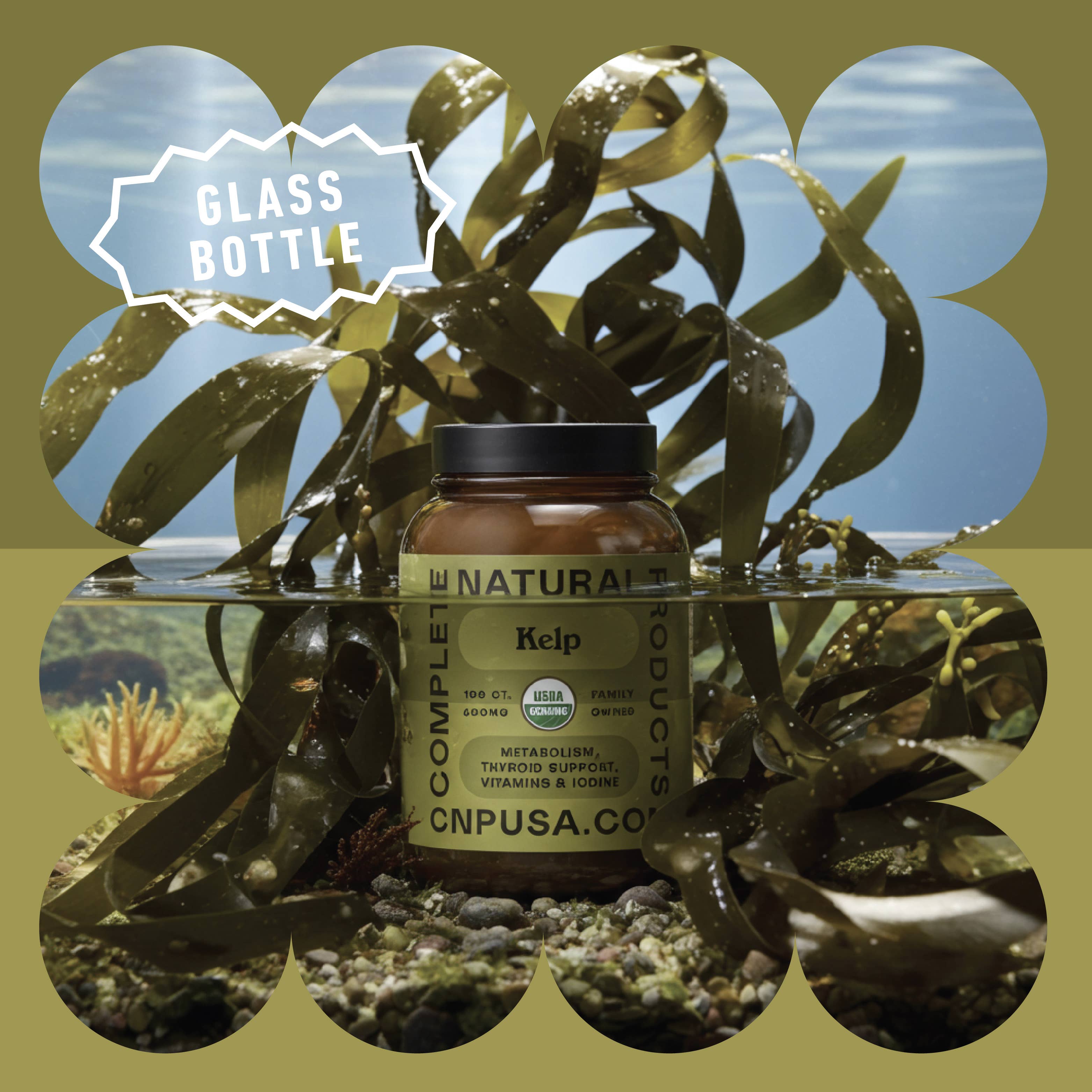 Complete Natural Products – Engroshandel Kosttilskud og vitaminer – Økologiske kelp kapsler3