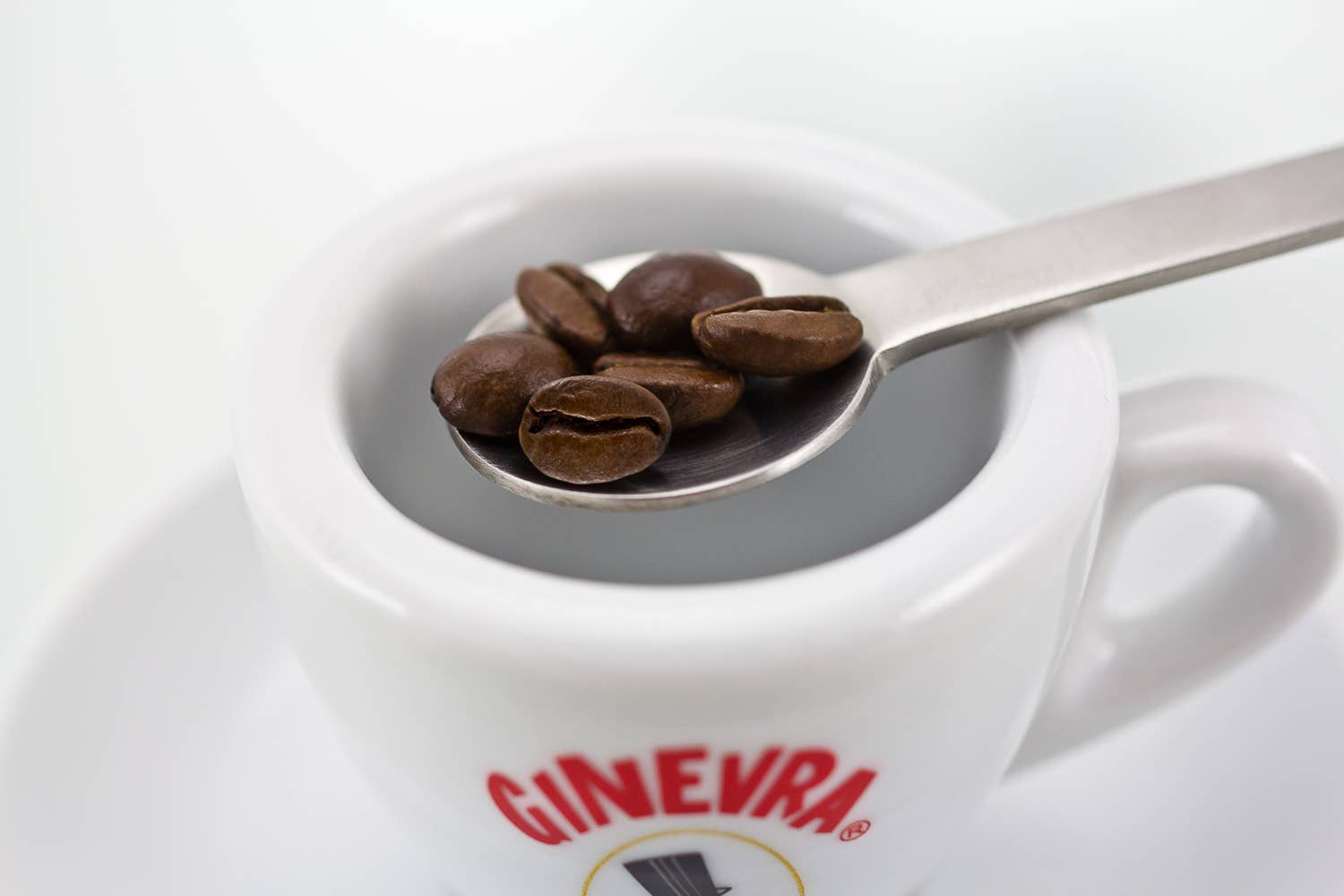 Caffè Ginevra SRL - Wholesale Instant Coffee/Espresso - Espresso Moka 500 g - Coffee beans2