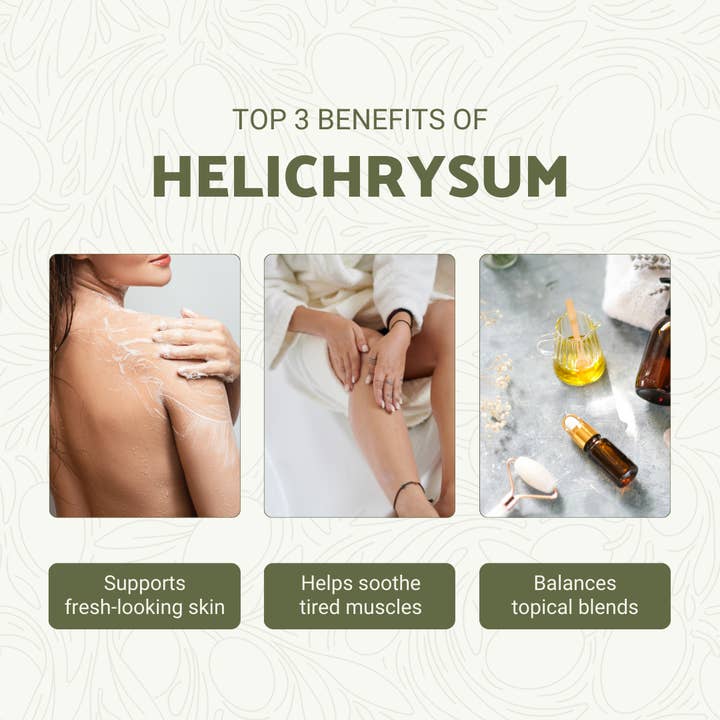 Nature Packaged - Wholesale Essential Oil - Helichrysum Essential Oils- 100% Pure - Farm-Direct Sourcing4