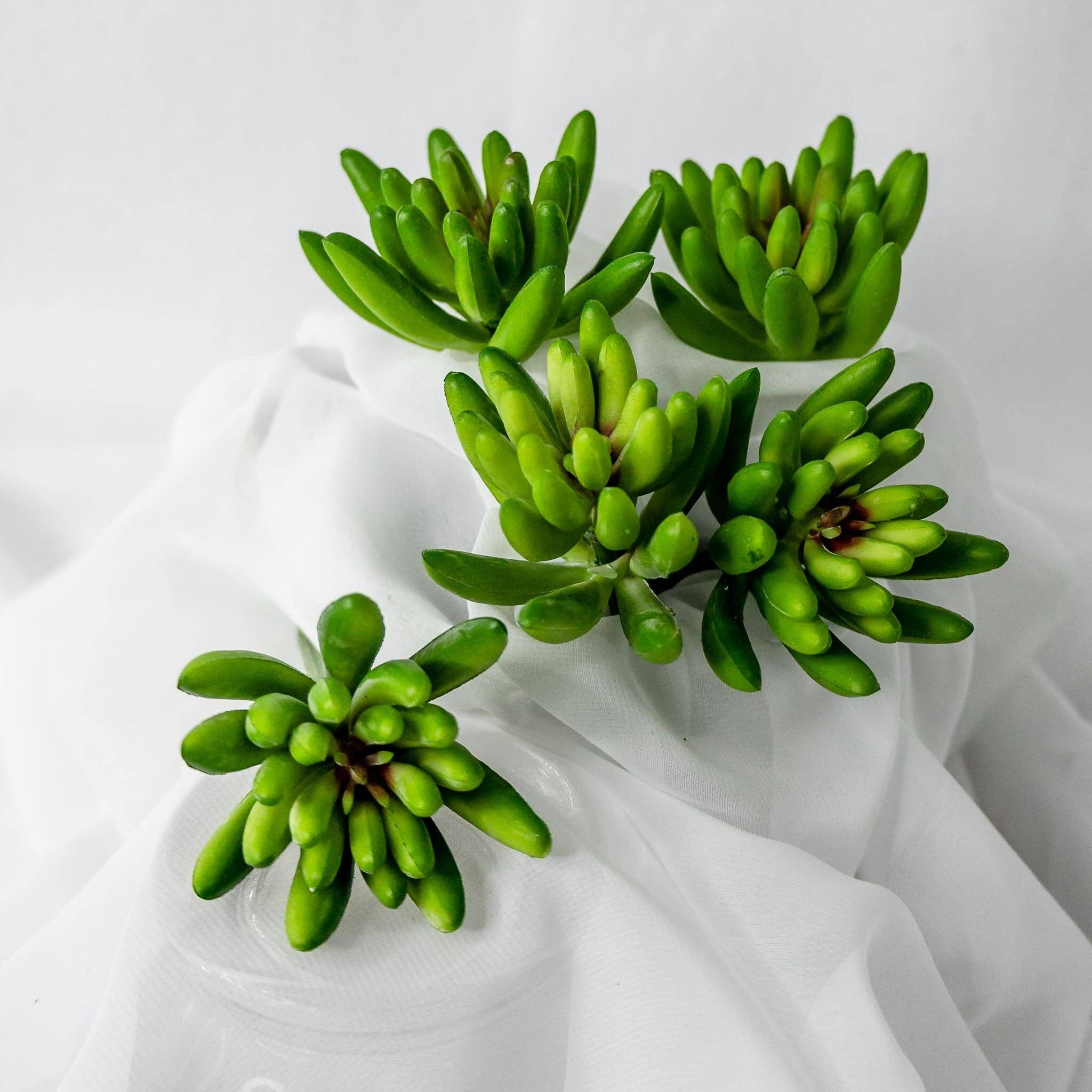 Realistic Artificial Flowers - Wholesale Artificial flowers - Claw Lotus Succulent - Realistic Artificial Flowers and Greenery3