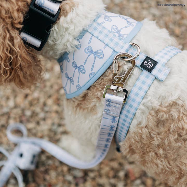 Lucy & Co. - Wholesale Pet Collar - Dog - Bowwow Wow! Collar8