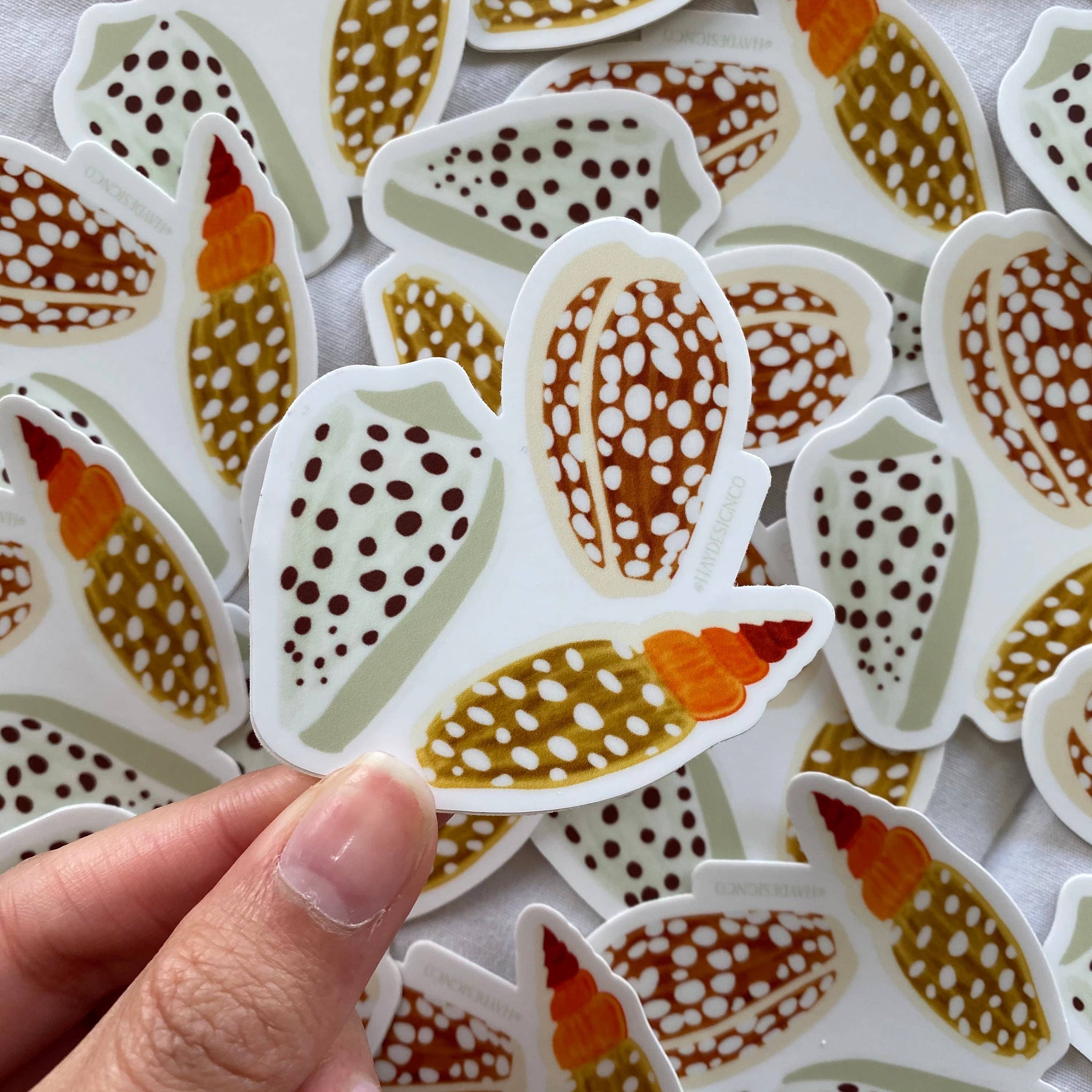 Hay Design Co. - Wholesale Sticker - Cowrie Shell Sticker1